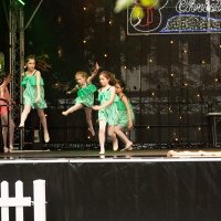 Hit refresh if image not shown