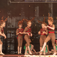 Hit refresh if image not shown