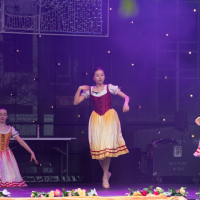 Hit refresh if image not shown