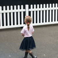 Hit refresh if image not shown