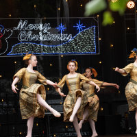 Hit refresh if image not shown