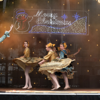 Hit refresh if image not shown