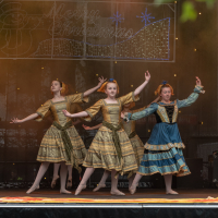 Hit refresh if image not shown