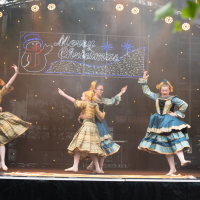 Hit refresh if image not shown