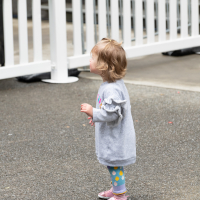 Hit refresh if image not shown