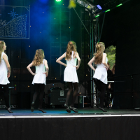 Hit refresh if image not shown