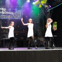 Hit refresh if image not shown