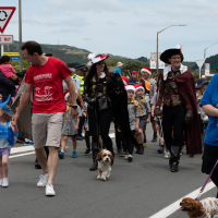 Hit refresh if image not shown