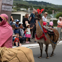  ./galleries/gallery_base/10002/35960/thumbs/th_tawaxmas2018-1000.jpg . 