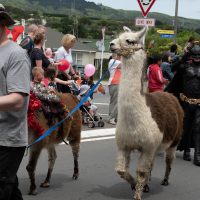 Hit refresh if image not shown