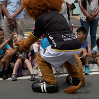 Hit refresh if image not shown