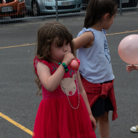 Hit refresh if image not shown