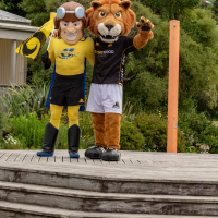 Hit refresh if image not shown