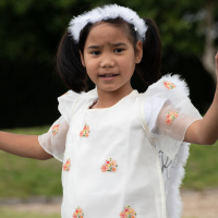 Hit refresh if image not shown