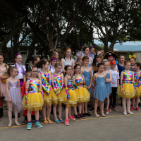 Hit refresh if image not shown