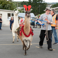 Hit refresh if image not shown