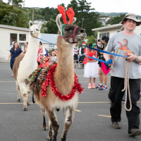 Hit refresh if image not shown