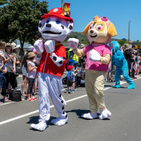 Hit refresh if image not shown