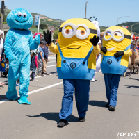 Hit refresh if image not shown