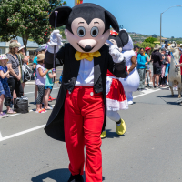 Hit refresh if image not shown