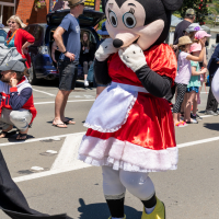 Hit refresh if image not shown