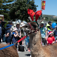 Hit refresh if image not shown