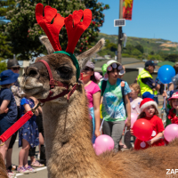 Hit refresh if image not shown