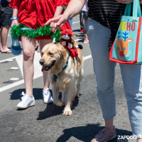 Hit refresh if image not shown