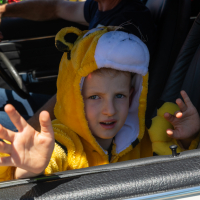 Hit refresh if image not shown