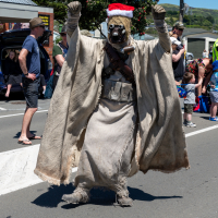 Hit refresh if image not shown