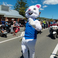 Hit refresh if image not shown