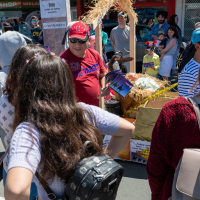 Hit refresh if image not shown