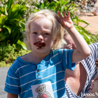 Hit refresh if image not shown