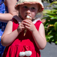 Hit refresh if image not shown