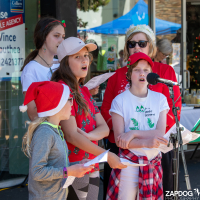 Hit refresh if image not shown