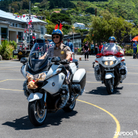 Hit refresh if image not shown