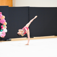 Hit refresh if image not shown