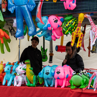 galleries/springtawa2020/gallery1/thumbs/th_spring2020-1025.jpg