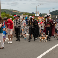 galleries/tawaxmas2018/parade01/thumbs/th_tawaxmas2018-1090.jpg