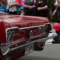 galleries/tawaxmas2018/parade01/thumbs/th_tawaxmas2018-1164.jpg