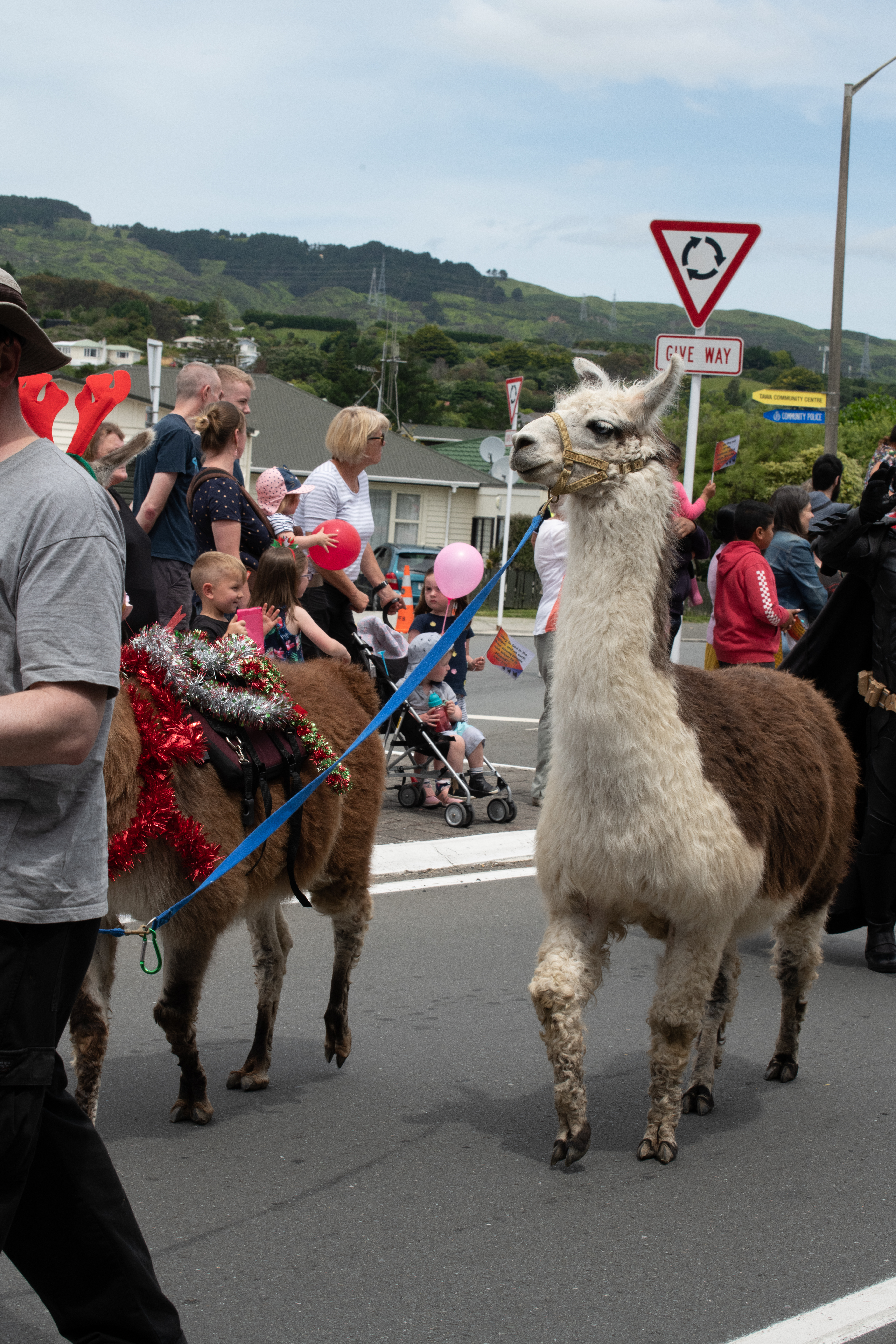 galleries/tawaxmas2018/parade02/tawaxmas2018-1003.jpg