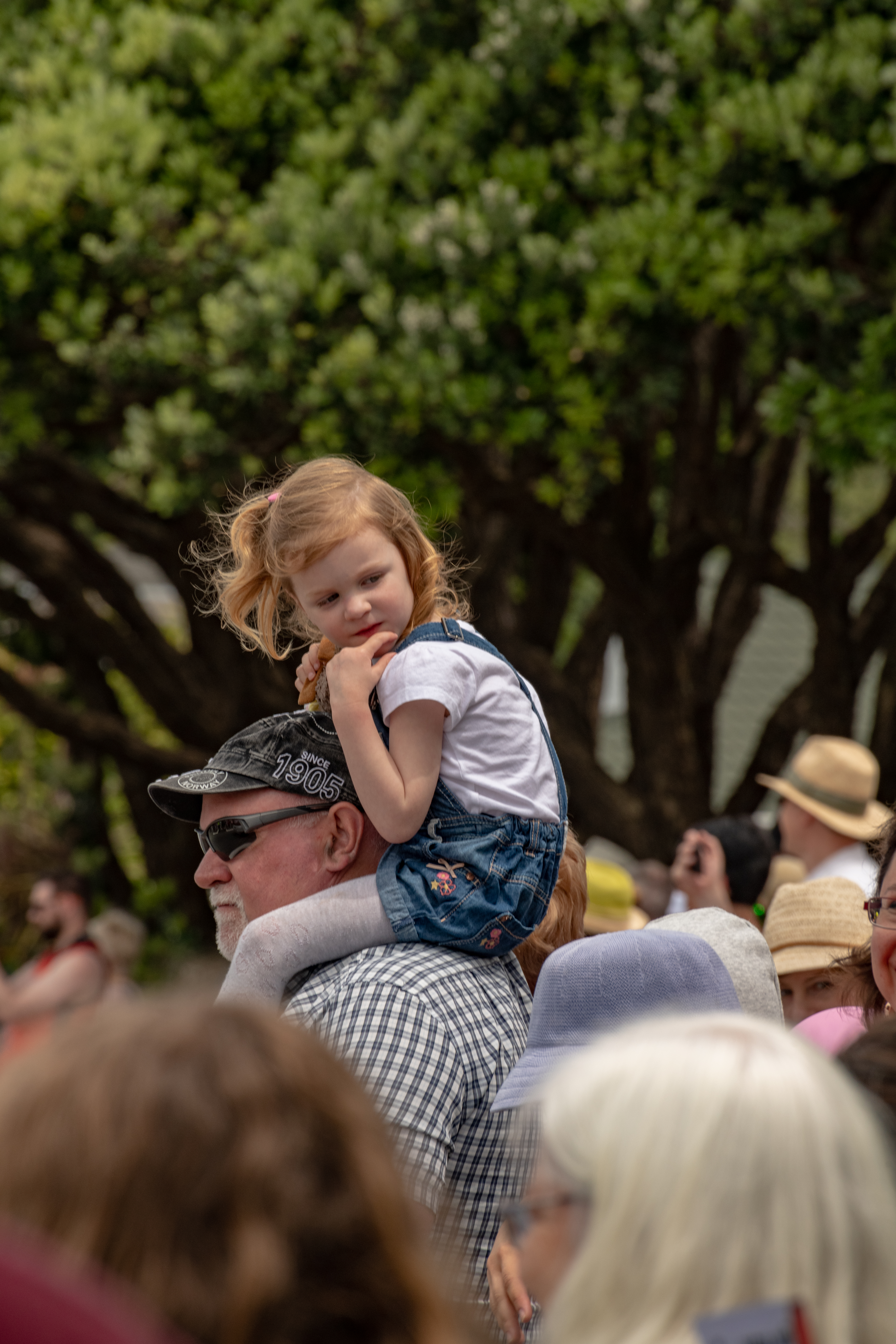galleries/tawaxmas2018/parade02/tawaxmas2018-1012.jpg
