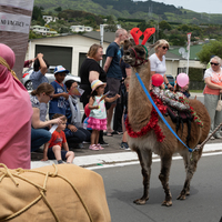 galleries/tawaxmas2018/parade02/thumbs/th_tawaxmas2018-1001.jpg