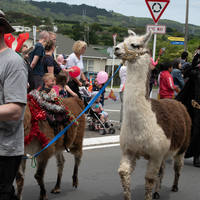 galleries/tawaxmas2018/parade02/thumbs/th_tawaxmas2018-1003.jpg