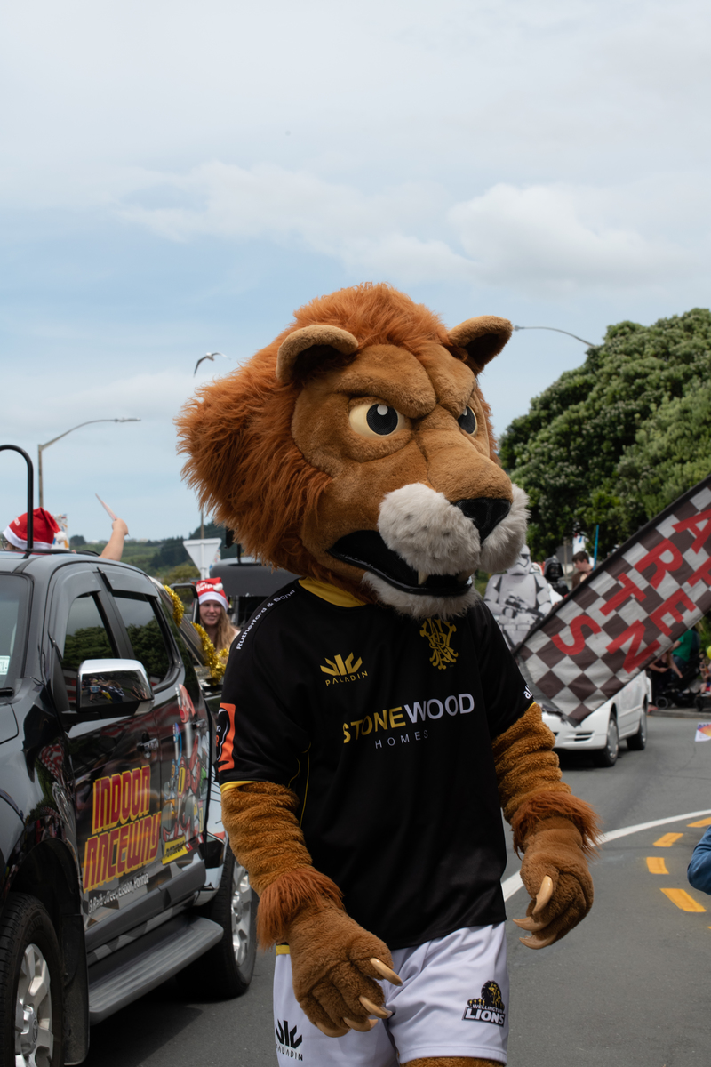 galleries/tawaxmas2018/parade03/mid/mid_tawaxmas2018-1074.jpg