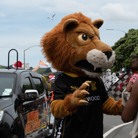 galleries/tawaxmas2018/parade03/thumbs/th_tawaxmas2018-1076.jpg