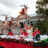 galleries/tawaxmas2018/preparation/thumbs/th_tawaxmas2018-1110.jpg