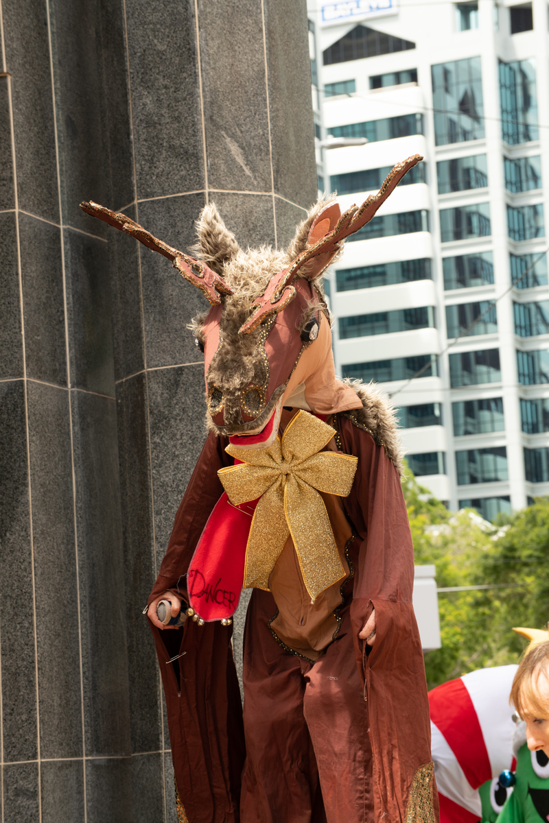 galleries/wellyxmas2018/gallery1/mid/mid_xmas2018-1017.jpg