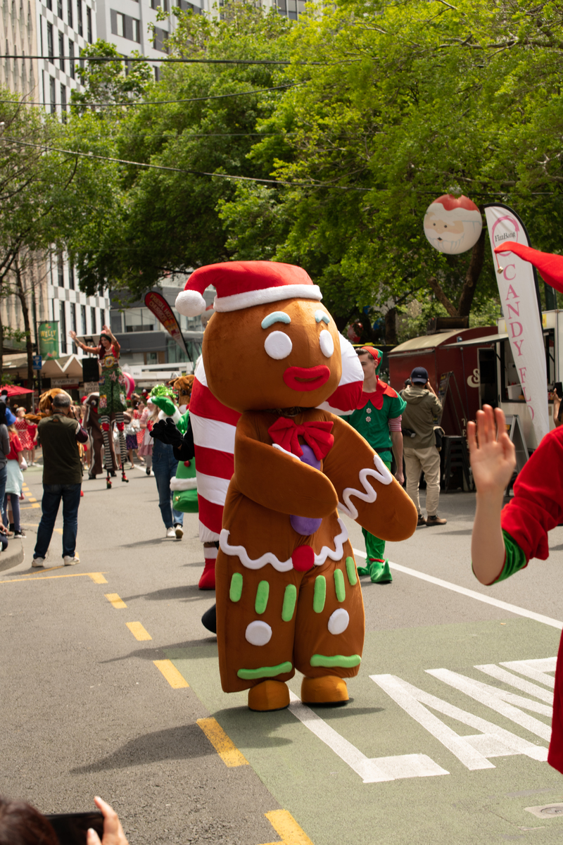 galleries/wellyxmas2018/gallery1/mid/mid_xmas2018-1049.jpg