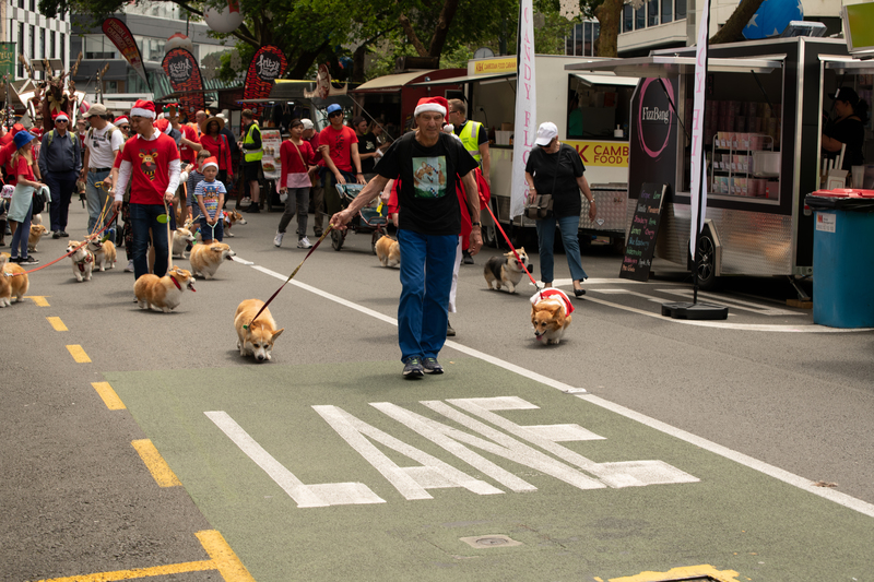 galleries/wellyxmas2018/gallery1/mid/mid_xmas2018-1103.jpg